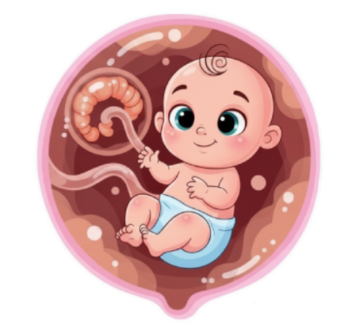 Pregnancy Care Services images women's wellness clinic